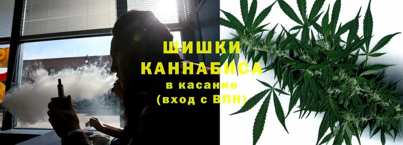 где найти наркотики  Полярные Зори  Бошки Шишки Amnesia 